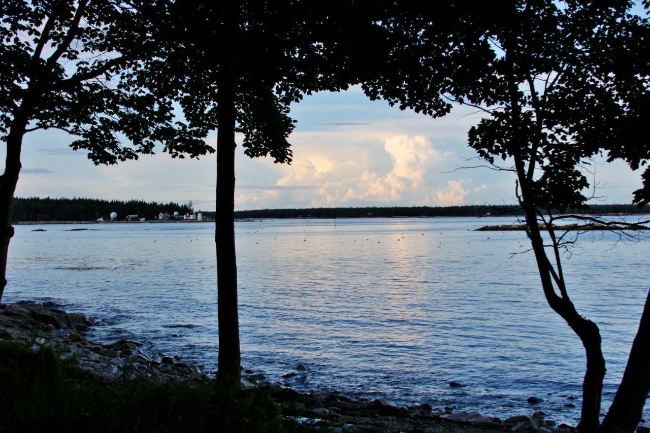 Prospect Harbor Dragonwood Castle On Waterfront With Stunning Viewヴィラ エクステリア 写真